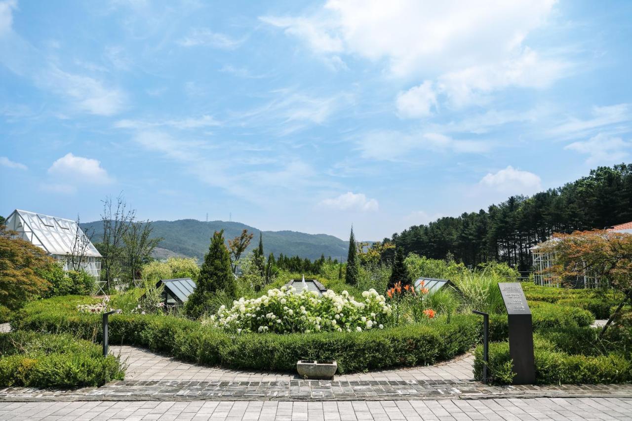 Hotel Eden Paradise 4*