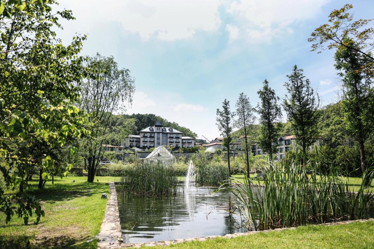 Hotel Eden Paradise