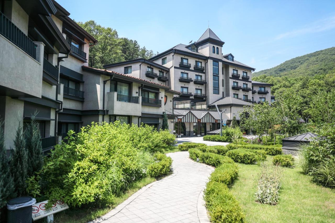 Hotel Eden Paradise